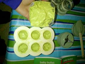 Making Baby Food (1)