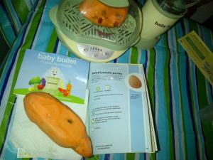 Making Baby Food (4)
